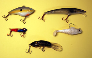 Five baits for early spring that you should have in your box