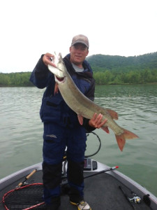 Scott Doan holding a 38 inch muskie caught on Cave Run Lake. (photo submitted)
