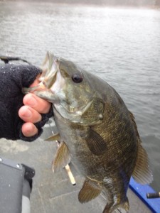 While the fishing is slow in winter, you can still catch a fish like this smallmouth. (Photo submitted)