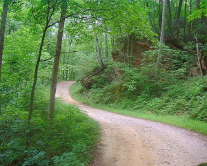 The five mile road into the authors’ camp on Cave Run Lake. (Photo by Chris Erwin.)