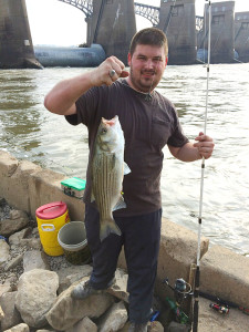 Ryan Albright holds a nice hybrid striped bass he caught near the dam on the Ohio River. (Photo submitted). 