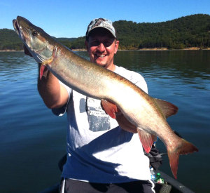 Chris Leffer holding a nice muskie caught on Cave Run lake last week. The muskie fishing is coming on strong. (Photo submitted)