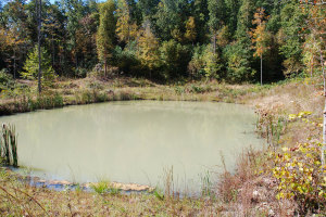  A typical area that contains the elements necessary for a successful deer hunt: water, feeding, bedding and staging area. (Photo by Chris Erwin)