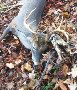 Chris Witten's 10-point buck taken with a bow on Oct. 31 in Greenup County. (Photo submitted)