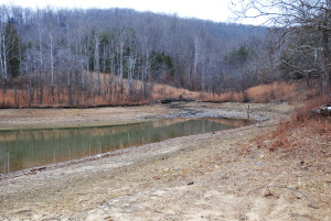 This photo was taken this past Sunday at Cave Run near my fish camp. The water is .5 feet from winter pool. 