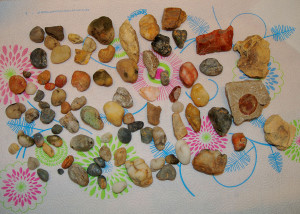 Rocks and minerals collected the day after New Years while rock hunting on private land near Morehead, Ky. (Photo by Chris Erwin)