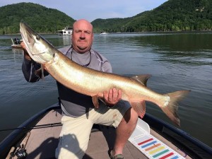 Shan Horsley caught this good-looking Muskie from Cave Run Lake in late May fishing the main lake. (photo submitted). 