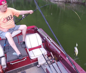 One of the many crappie caught while fishing with crankbaits Photo by Chris Erwin