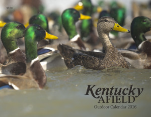 The Kentucky Afield Outdoor Calendar is an invaluable and inexpensive gift for the hunter or angler on your list. This unique calendar has hunting season dates, outdoor tips, nature notes and award winning photography that grace its pages. A gift license or permit from the Kentucky Department of Fish and Wildlife Resources also makes an appreciated present for any hunter or angler.