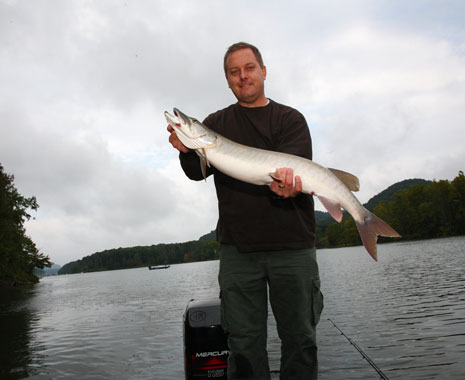 Kentucky Afield Outdoors staff writer Kevin Kelly holds a 38-inch muskellunge he caught from Cave Run Lake. The muskellunge population in Cave Run Lake earned an excellent rating in the 2016 Fishing Forecast produced by the Fisheries Division of the Kentucky Department of Fish and Wildlife Resources. The forecast is a useful tool for planning productive fishing trips. 