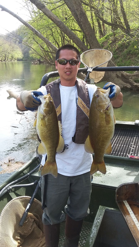 Ryan Kausing, fisheries technician for the Kentucky Department of Fish and Wildlife Resources, holds two huge smallmouth bass captured and released during population sampling on the South Fork of Kentucky River a few weeks ago. May is an incredibly productive month to fish rivers across Kentucky.  